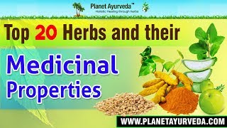 Top 20 Herbs & their Medicinal Properties - Health Benefits