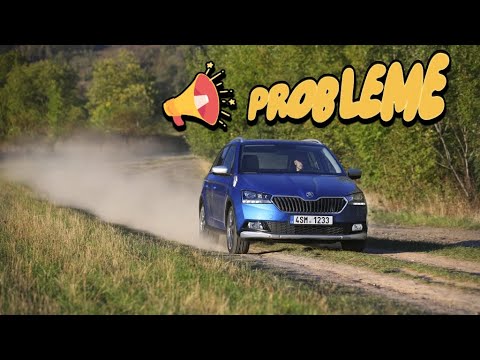 Skoda Fabia 3 - Jeder Besitzer macht das durch