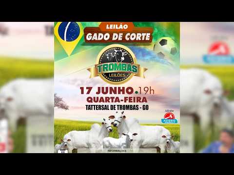 LEILÃO  GADO DE CORTE TROMBAS LEILÕES - TROMBAS GOIAS  - 17 / 06 / 2026