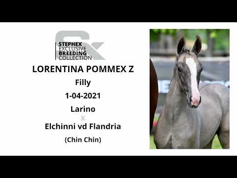 Lorentina Pommex Z