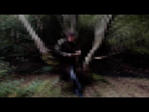 Joe Alexander Shepherd - The Adaptation (Visualiser)