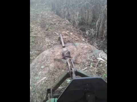 palenque los rios ecuador