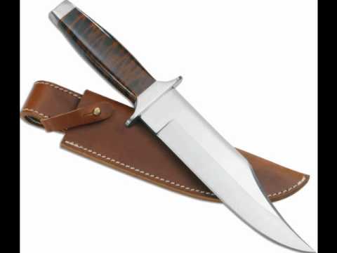 Majesty Son (life video)