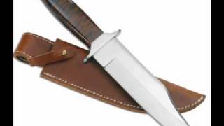 Majesty Son (life video)