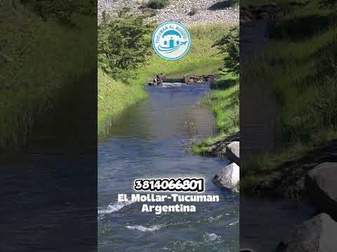 "✨ Descubrí El Mollar, un tesoro escondido en Tucumán. 💧 Desde el dique La Angostura....