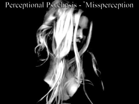 Perceptional Psychosis - Missperception