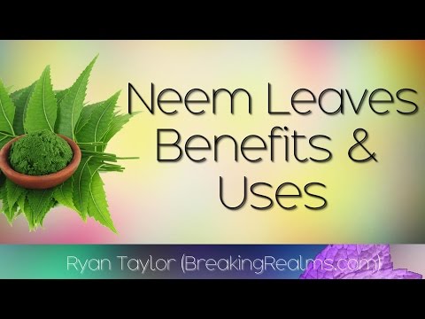 Neem Leaves- Health Benefits and Uses