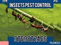 Cockroach treatment for home von Pest Co