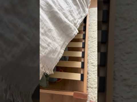 Миниатюра изображения товара Односпальная кровать БАМА Массив Палермо 90x200 ольха (натуральный)