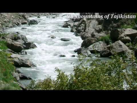 АФЗАЛШОХ ШОДИЕВ ДАРЁ