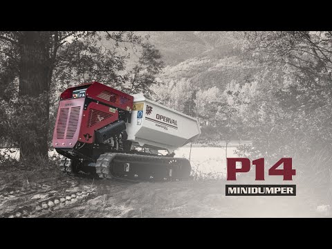 dumper P14 radiocomandato - radio controlled dumper P14