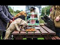 Good Dog Bad Dog Inside The World Of Doggy Day Care S01E01 French Bulldog