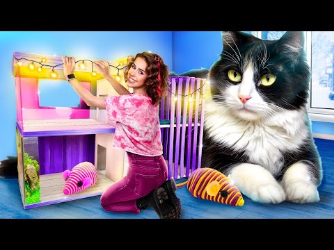 I Built a DREAM CAT HOUSE! I Saved Homeless Tiny Cat!