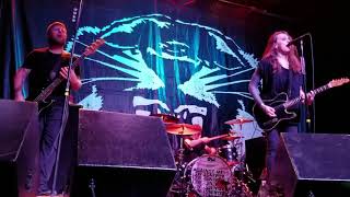 Against Me! - Animal (live)