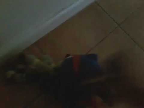 Sonic the Hedgehog plush show: S2 Ep. 10 vein of war 2/3 Season 2 Flanle