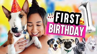 MY SON'S EPIC FIRST BIRTHDAY!!!!