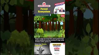 Forest Ecosystem | Learn Biology with Home Revise