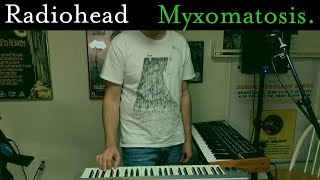 Radiohead - Myxomatosis (Cover by Joe Edelmann)