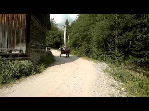 Copilasii se plimba cu calutul la Pensiunea Valea Mariilor