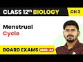 Menstrual Cycle - Human Reproduction | Class 12 Biology (2022-23)