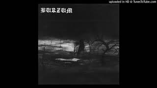 Burzum - Feeble screams from forests unknown