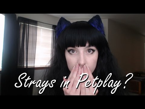Kinky Opinions: Strays in Petplay and BDSM Video
