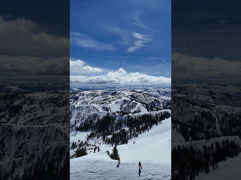 YouTube thumbnail for pDVNUEkKiG0