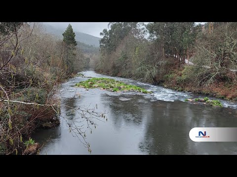 Denúncia permite identificar proveniência de foco poluidor no Rio Ferreira