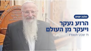 הרוע נעקר ויעקר מן העולם | הרב שמואל אליהו | הלכה יומית | ח׳ שבט תשפ״ו (הרב שמואל אליהו) - התמונה מוצגת ישירות מתוך אתר האינטרנט יוטיוב. זכויות היוצרים בתמונה שייכות ליוצרה. קישור קרדיט למקור התוכן נמצא בתוך דף הסרטון הרוע נעקר ויעקר מן העולם | הרב שמואל אליהו | הלכה יומית | ח׳ שבט תשפ״ו (הרב שמואל אליהו) - התמונה מוצגת ישירות מתוך אתר האינטרנט יוטיוב. זכויות היוצרים בתמונה שייכות ליוצרה. קישור קרדיט למקור התוכן נמצא בתוך דף הסרטון