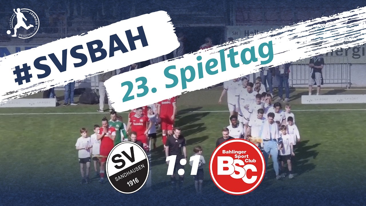SV Sandhausen vs Bahlinger SC Highlights