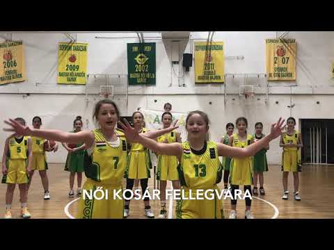 Csípős Darazsak - Hajrá Sopron Basket!