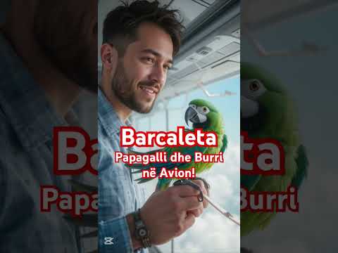Barcaleta Papagalli dhe Burri në Avion!