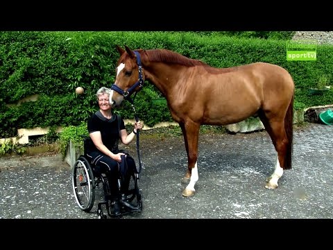 Hanne Brenner: Mit neuem Pferd zu alten Erfolgen