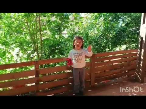 MARIPOSA -  – Escuela Básica N.º 872 Prof. Hortencia Báez de Duarte – SATP 10-27