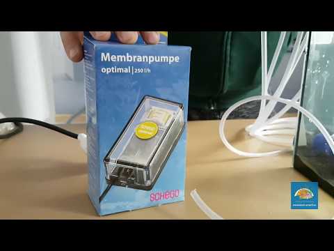 Watch Video on YouTube