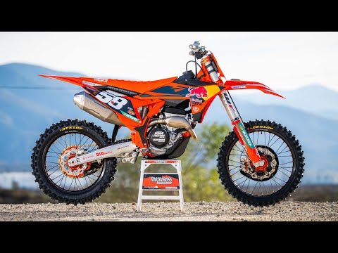 Pro vs. Novice Perspective: Is a Factory Edition worth the Extra Money?