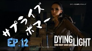 [ダイイングライト実況]安全な場所など無い　＃12　【毎日１８時更新】