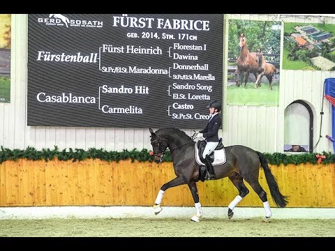 Fürst Fabrice *2014 by Fürstenball - Sandro Hit (Stallion Show Sosath 2018)