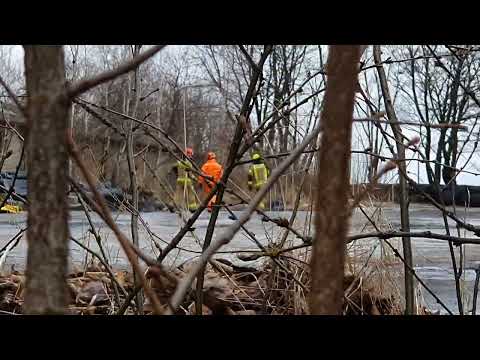 Ryczołek - nielegalne składowisko odpadów - 5 lutego 2022 r.