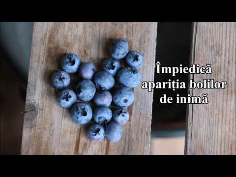 Fructe de afine, proprietăți utile și contraindicații