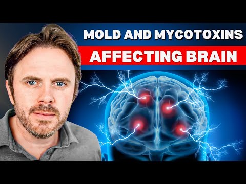Mold Toxicity Is Destroying Your Brain and You Do not Even Know It