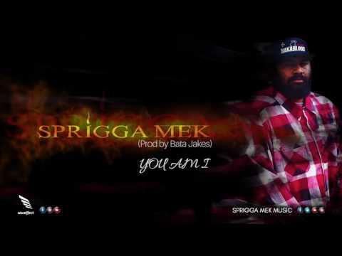 Sprigga Mek - YOU AM I (Prod by Bata Jakes)