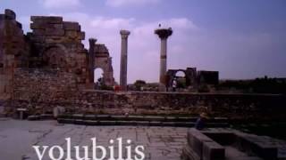 volubilis (cathedral in the dell, andrew bird)