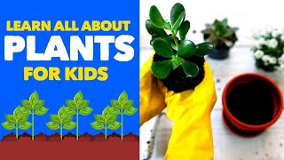 Facts about PLANTS For Kids | Learn all About Botany, Houseplants, Flowers and Trees