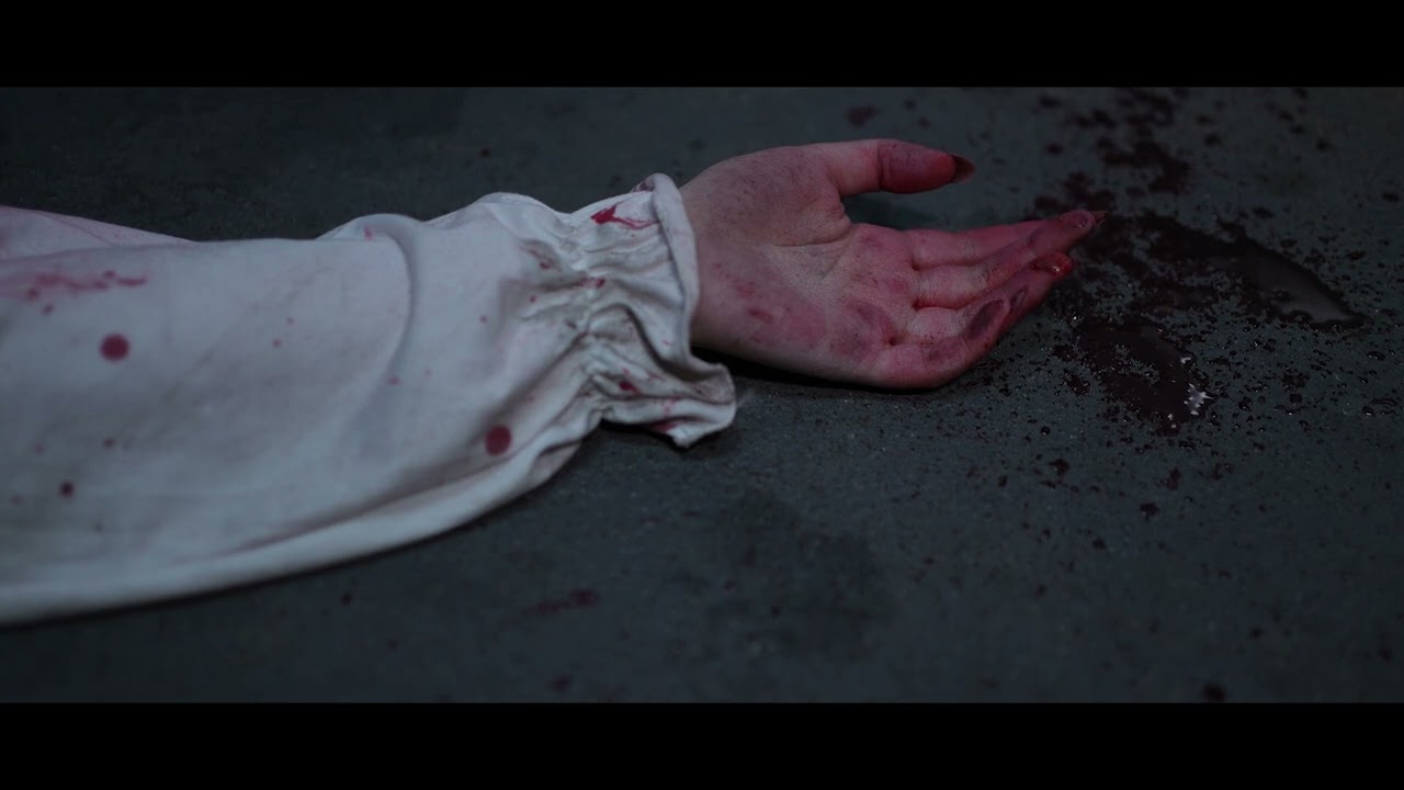 Susann Camus' Bless Your Heart | Official Book Trailer