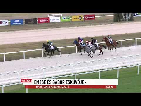 2023.10.15. 8. Futam - EMESE ÉS GÁBOR ESKÜVŐJE - NYERETLENEK VERSENYE (V.kat.) (szintetikus pálya)