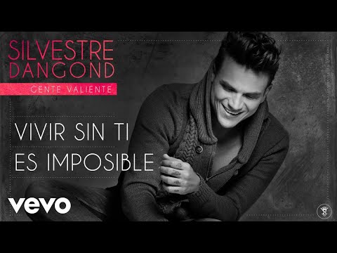 Vivir Sin Ti Es Imposible (audio)