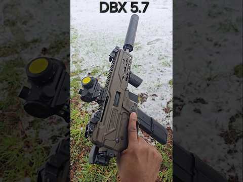 Diamondback DBX or Keltec R50?