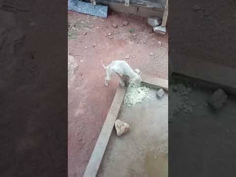 9 अप्रैल 2024