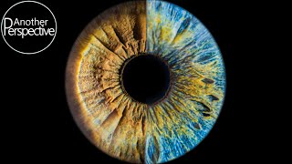 Eye Photography - How to take a sharp Image of your Iris